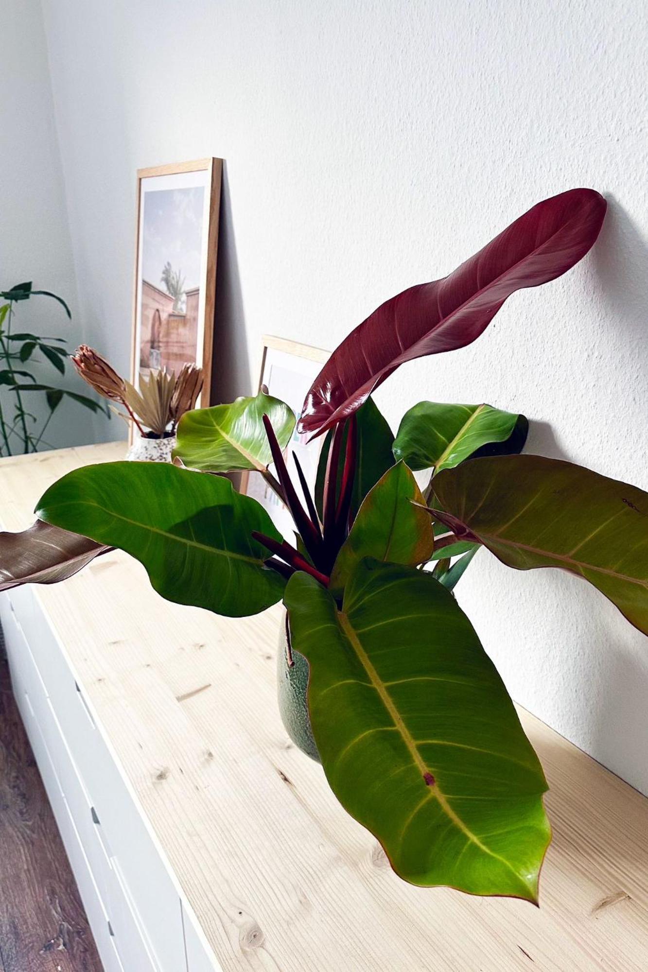 Business & Leisure Apartment Ίνγκολστατ Εξωτερικό φωτογραφία